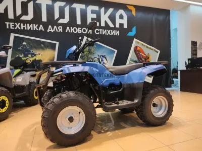 Квадроцикл IRBIS (Ирбис) ATV 250 2024 синий с ПСМ